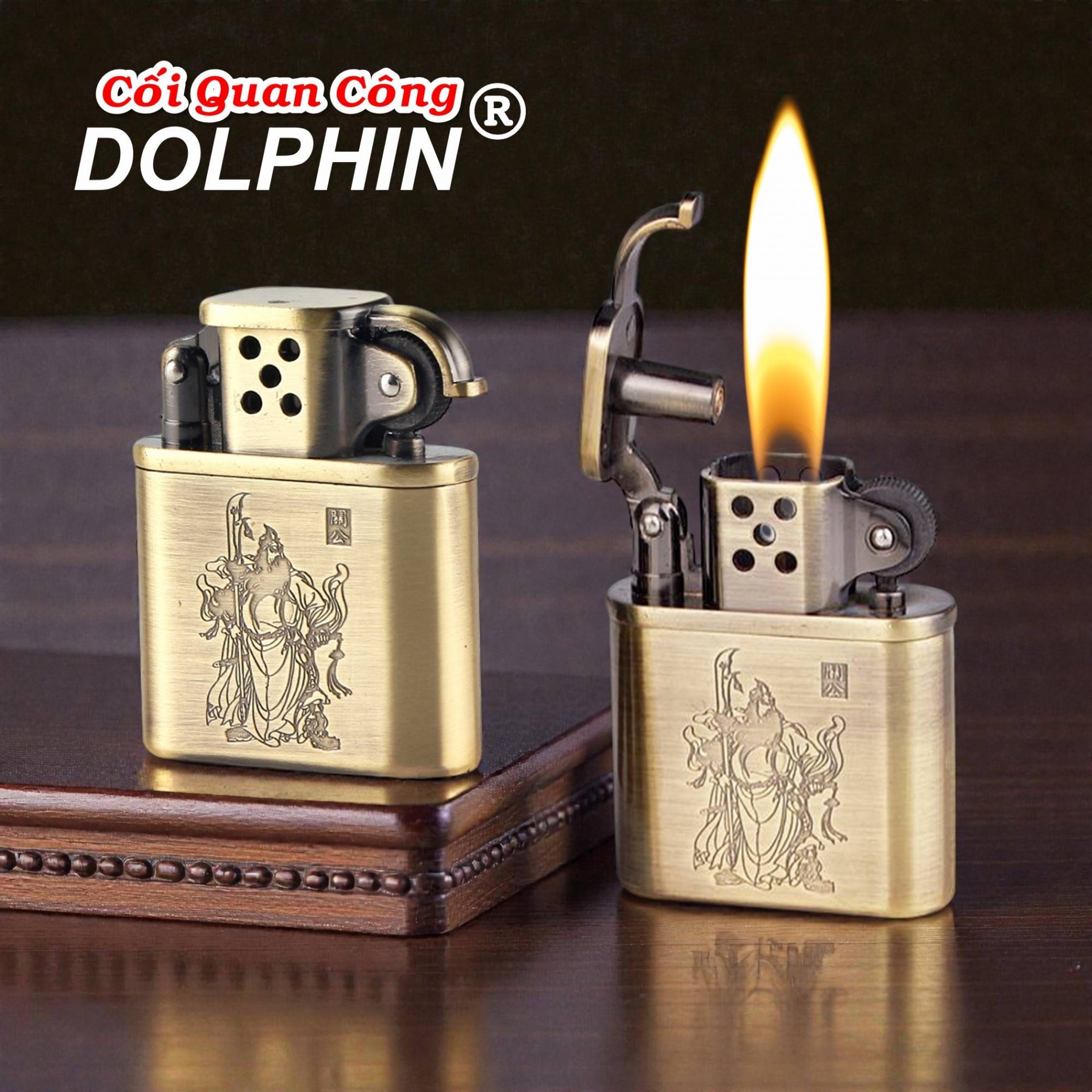 dolphin_coi_quan_cong_2