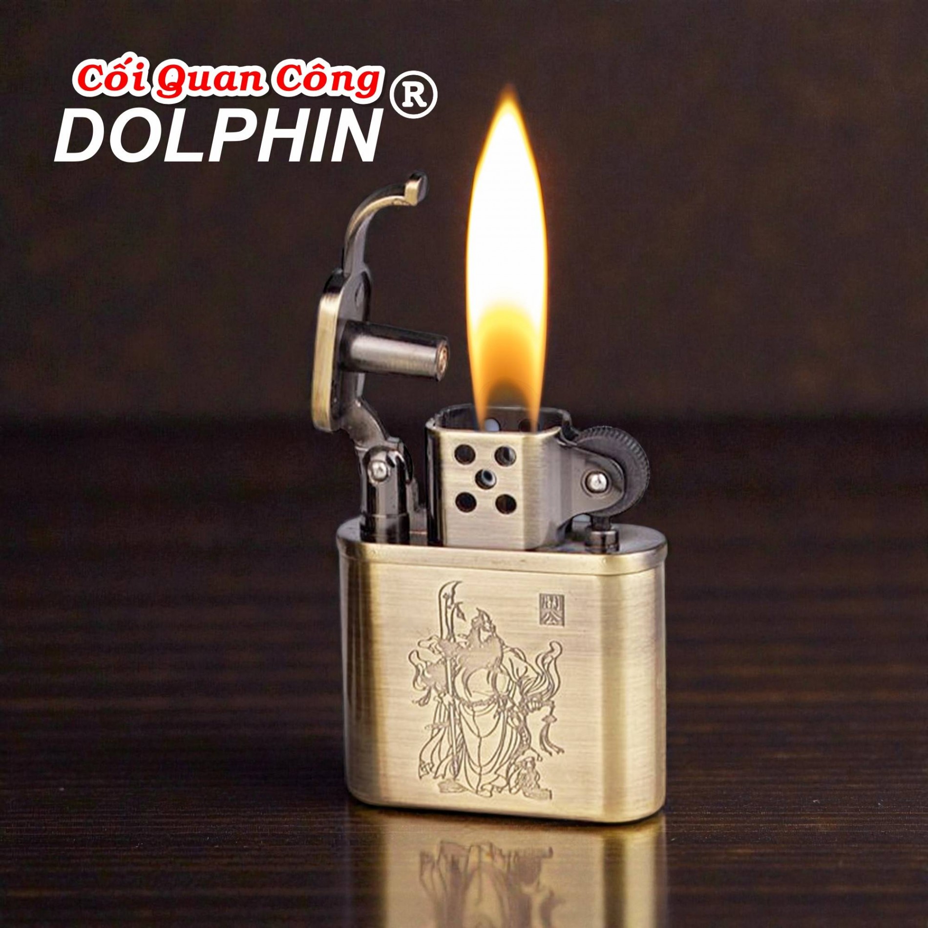 dolphin_coi_quan_cong_4